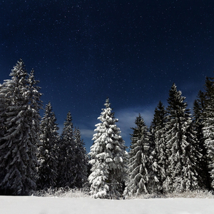 亚洲午夜福利电影无码电影
