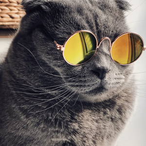 亚洲午夜福利电影无码电影
