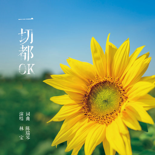 亚洲午夜福利电影无码电影
